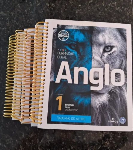 Livros Anglo Formação Geral - Caderno do aluno 1, 2, 3 e 4