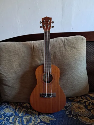 ukulele concert (aceito troca)