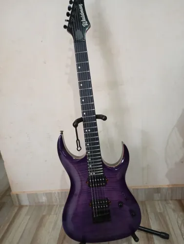 Guitarra Waldman wgar 220f