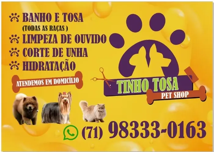 Tosa e banho em domicílio