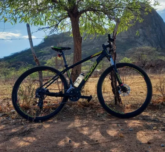 Bicicleta oggi aro 29