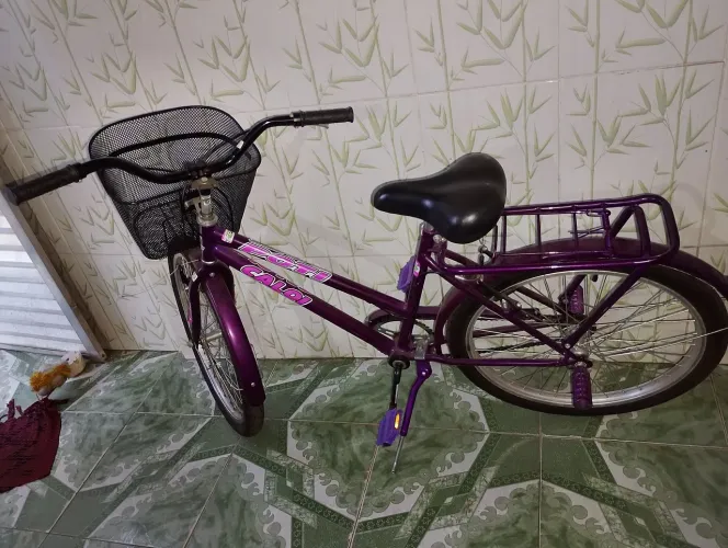 Bicicleta