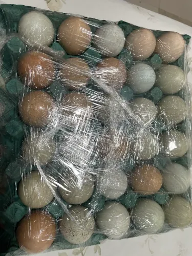 Ovos coloridos