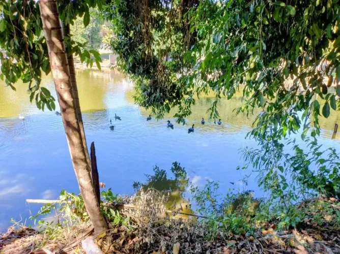 Chácara no Jardim Bela Vista, Casa Branca, SP.