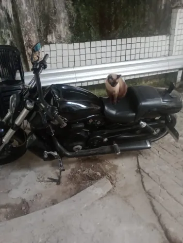 Vendo ou troco harley davidson 