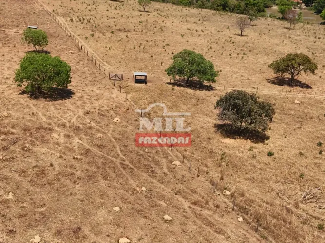 Fazenda 42 Alqueires (203 Hectares) Minaçu - GO