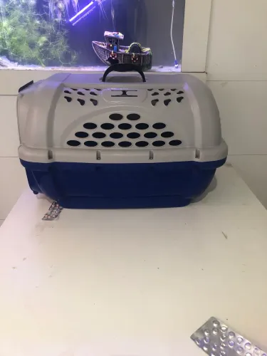 Caixa de transporte cães e gatos
