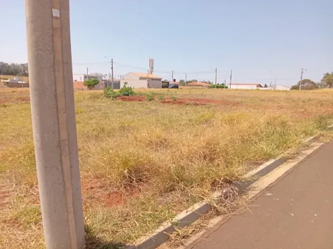 Terreno 