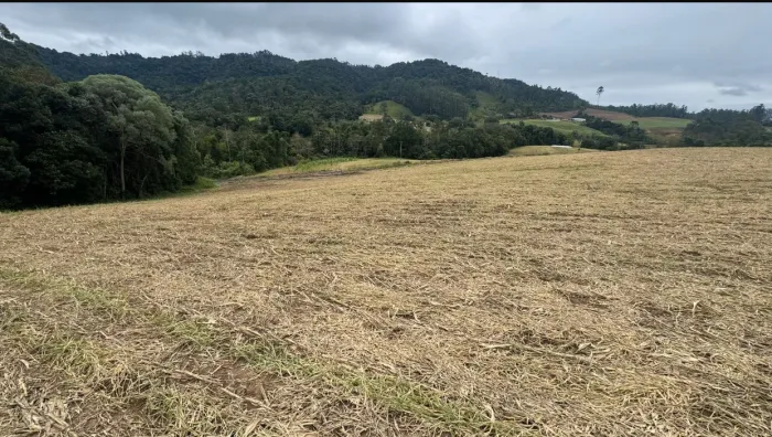 Oportunidade de sitio