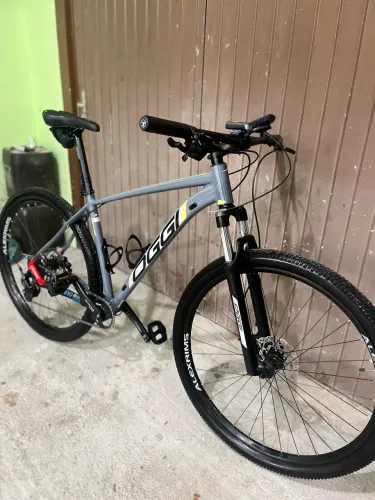 Bicicleta oggi aro 29