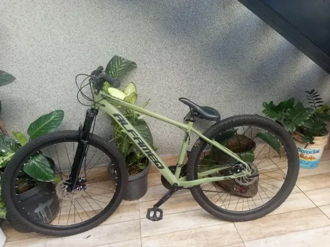 Quadro Bike Alfameq Verde