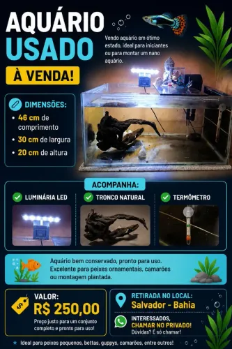 Aquário em bom estado, ideal para peixes ornamentais, bettas ou montagem de nano aquário