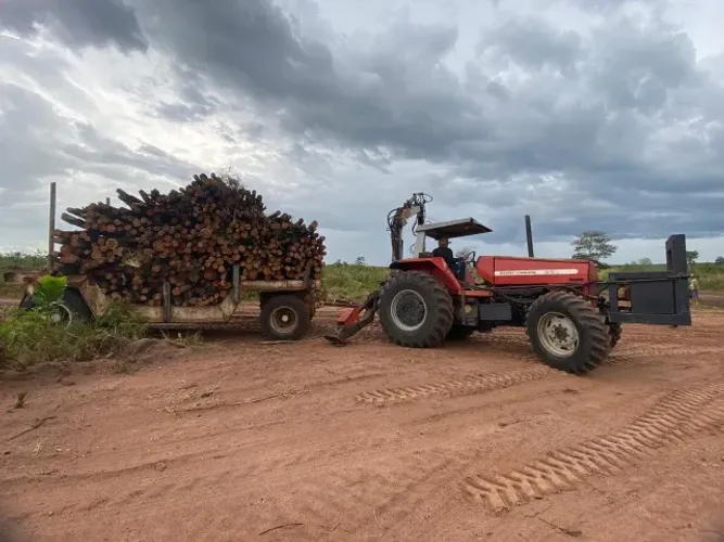 TRATOR MASSEY FARGUSON - ANO: 2004