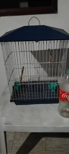 Vendo gaiola para calopsita