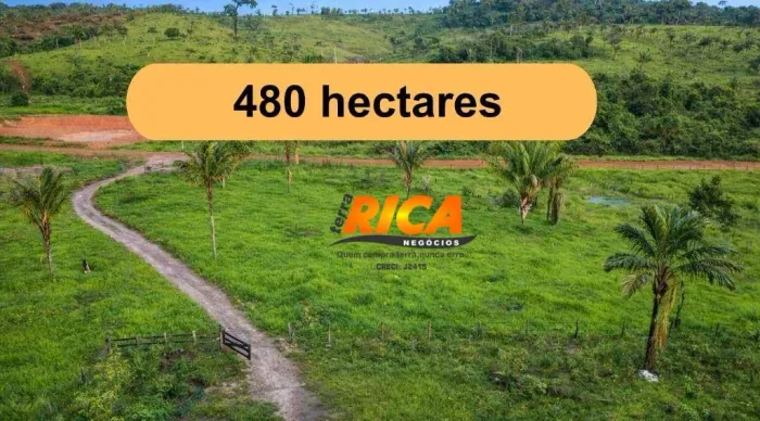 Fazenda com 3 dormitórios à venda, 4800000 m² por R$ 2.800.000,00 - Área rural de Apuí - A