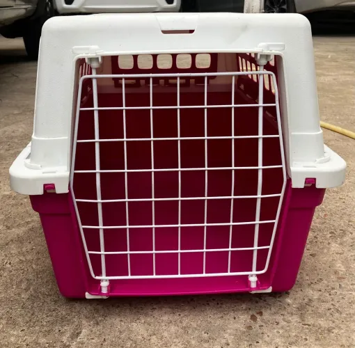 Caixinha de transportar cachorro e gato
