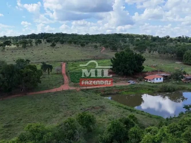 Fazenda 14,75 alqueires (71,17 hectares) Professor Jamil - Go