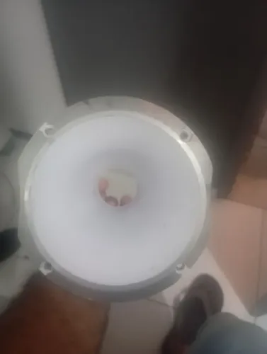 Cone pra corneta de trio .
