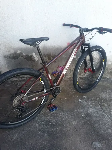 Bike 29