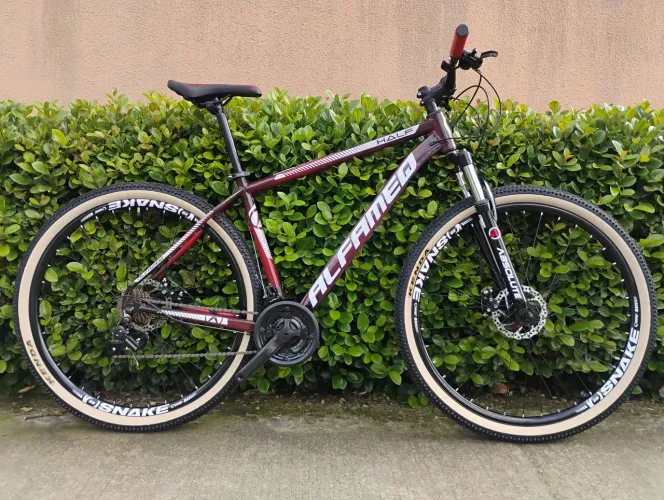 Bicicleta aro 29 alfameq