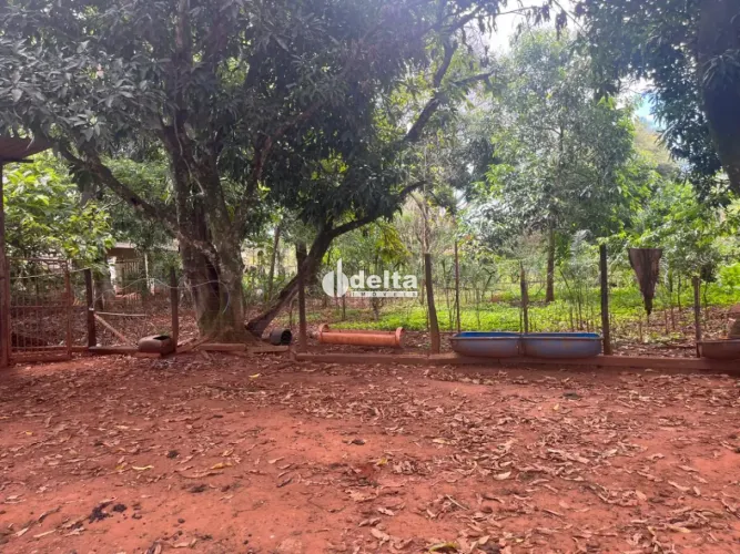 Chácara disponível para venda no bairro Morada dos Pássaros em Uberlândia-MG
