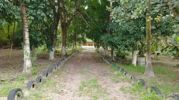 VENDO ESSE SITIO COM CASA E UMA ÁREA DE TERRA DE 5 TAREFAS NO BACALHAU EM CATU