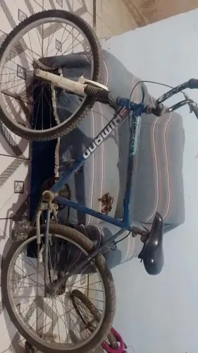 Bicicleta