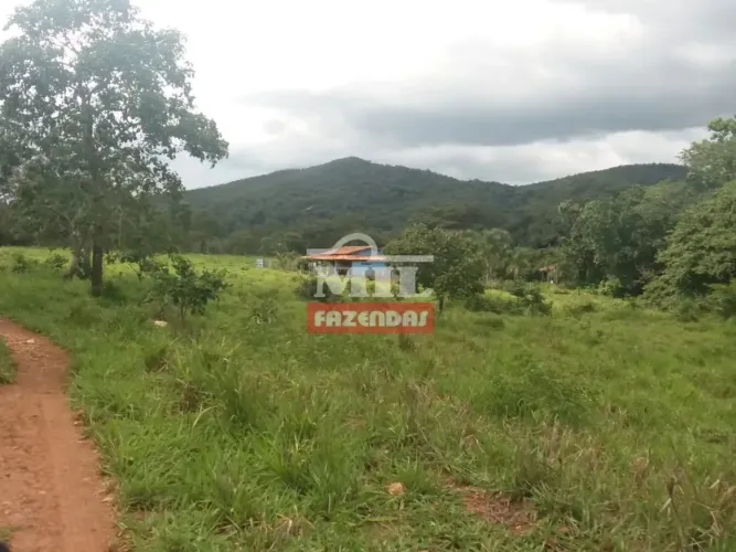 Chácara 9,48 Alqueires (45,9 hectares) Goiás Velho - GO