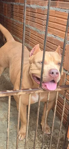 Pit monster 