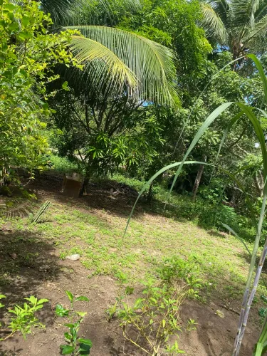 Vendo sítio e terreno