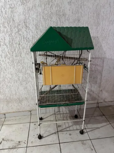 Viveiro Gaiola Passarinho Bragança