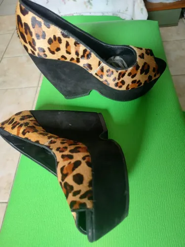 Sapato feminino 