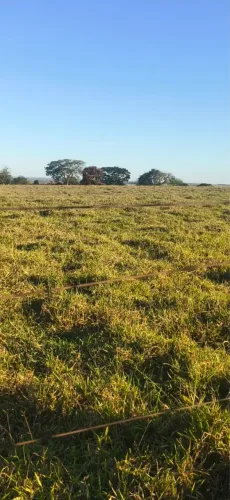 Fazenda dupla aptidão município de santa Juliana