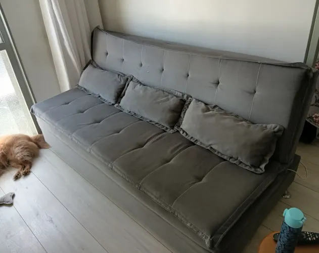 Sofa cama