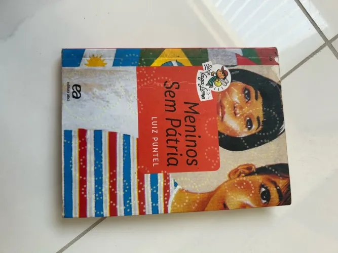 Livro Meninos Sem Patria de Luiz Puntel