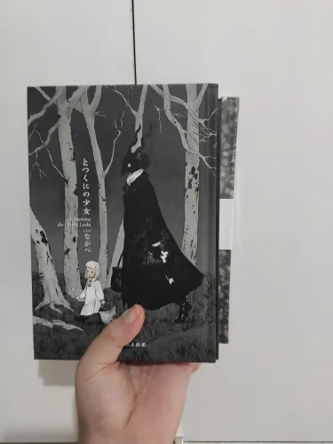 A Menina do Outro Lado - Vol 1, 4, e 11