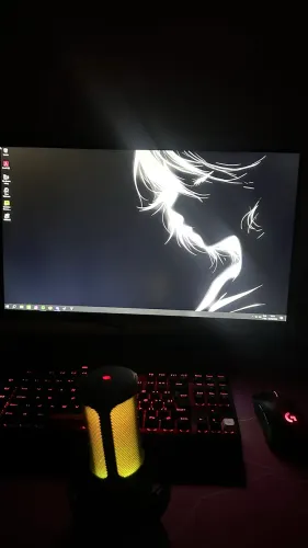 Pc gamer 