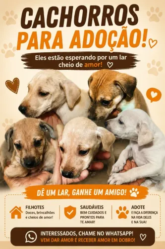 Cachorro para adoção