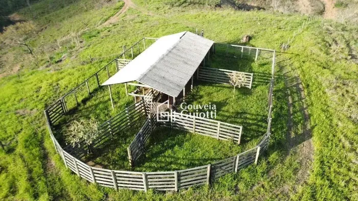 Fazenda 31 Alqueires em Pires do Rio Boa de Água, Pecuária Estruturada e Aceita 100% Perm