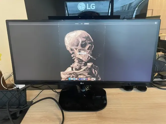 Monitor LG 25" Ultrawide IPS 21:9 2560x1080 - 25UM58