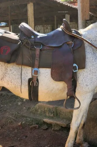 Sel de cabeça, macia, original. Chaaama!