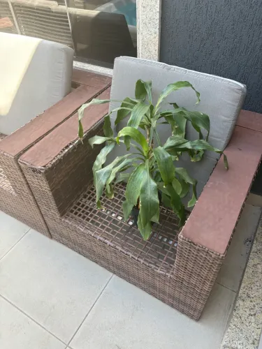Poltrona de jardim