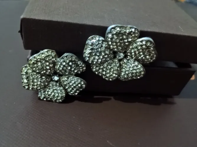 Brinco de pressão ( prata designer strass 