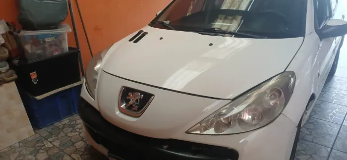 Peugeot 207 SW XR Sport 1.4 Flex 8V 5P 2012