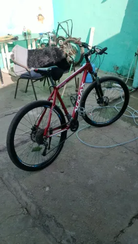 Aro29