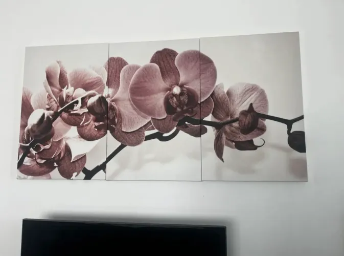 Kit 3 quadros decorativos orquídea
