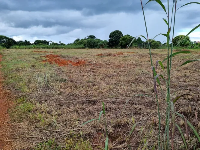 Alugo excelente chácara para plantação , Lago Oeste, Ruaa 00 - Excelente Localização