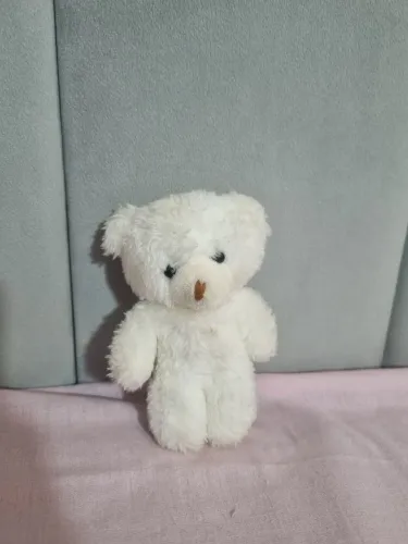 Urso de pelúcia pequeno