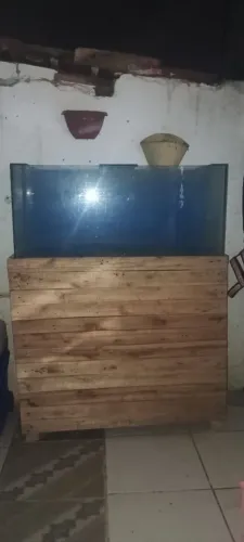Aquario