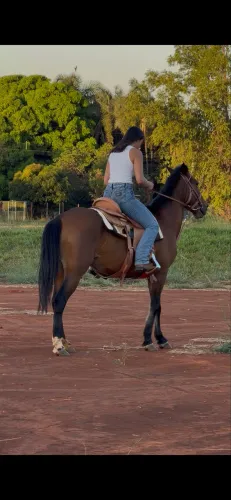 Égua machaderinha